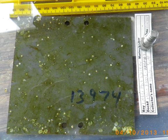 Lpw main float west 2 plate 13974