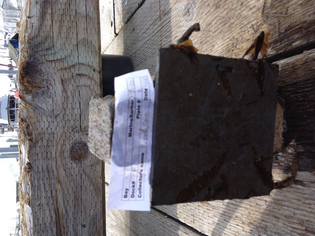 Brick 1
