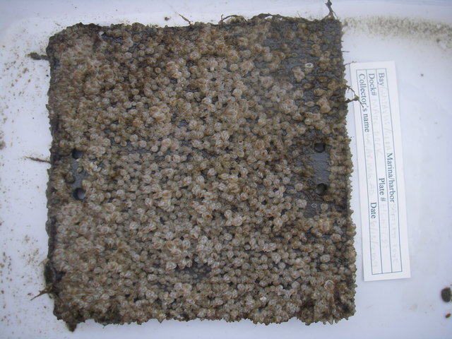Imgp3056