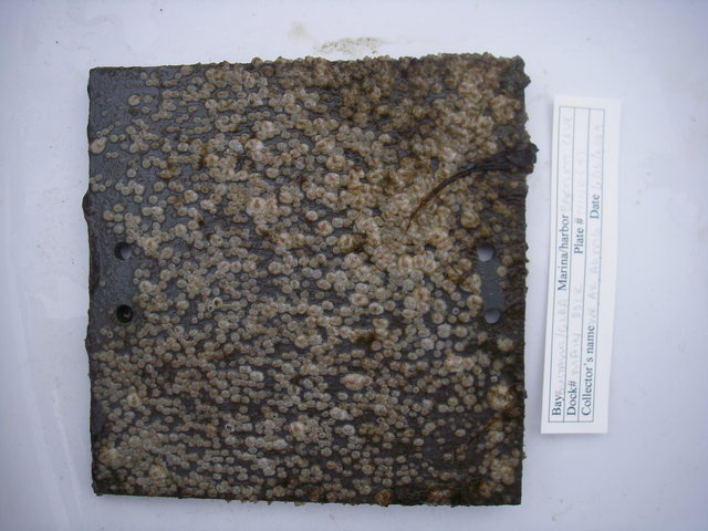 Imgp3062