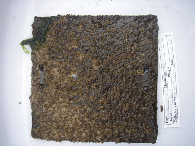 Imgp3068