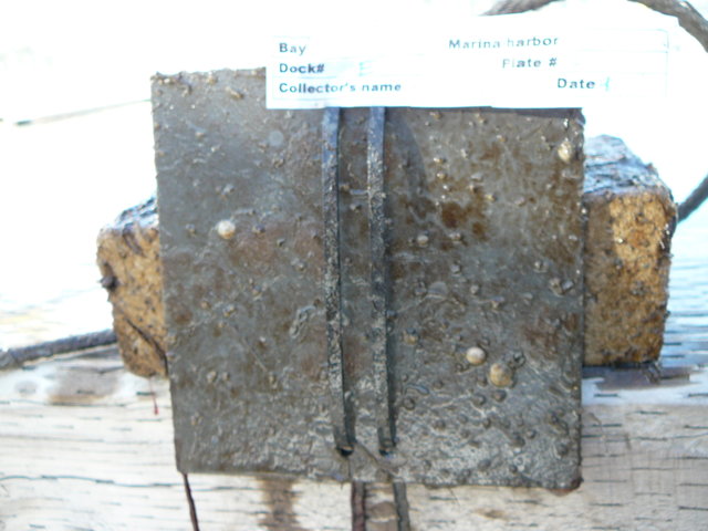 P1050119