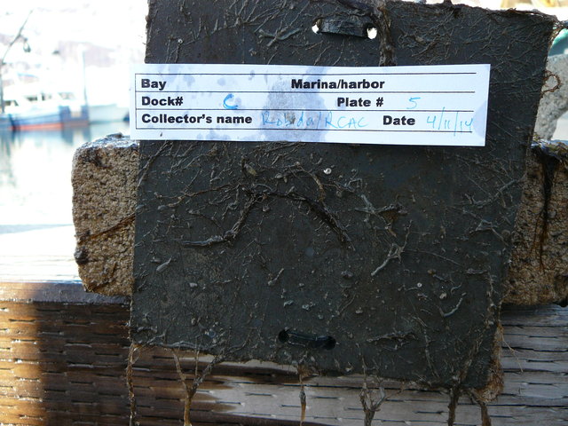 P1050124
