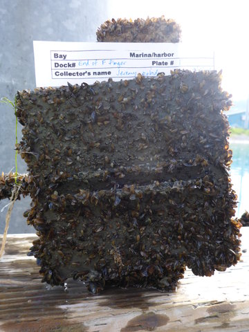 P1010386