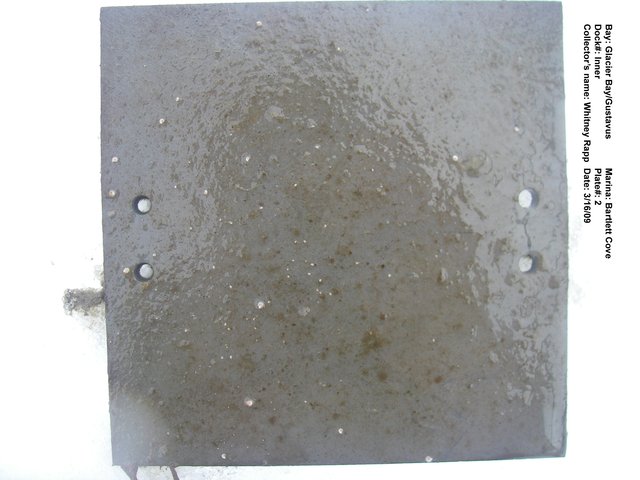 Imgp2559 02d