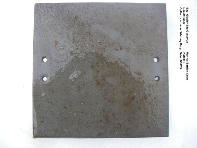 Imgp2565 03d