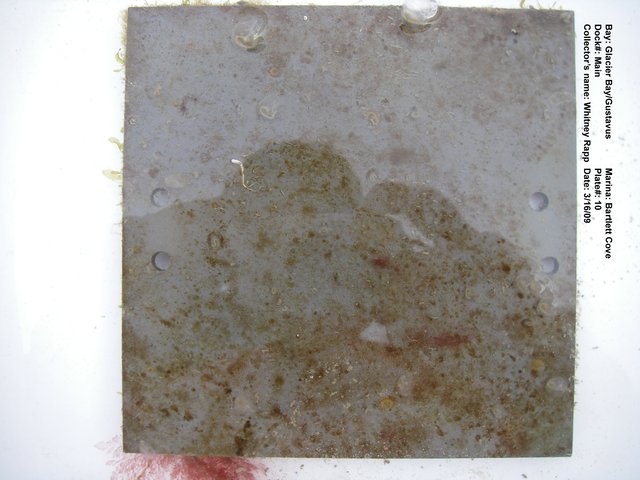 Imgp2605 10a