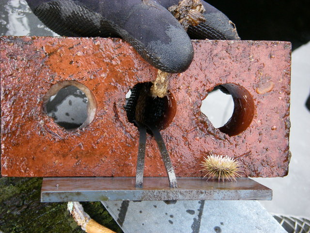 Imgp0009