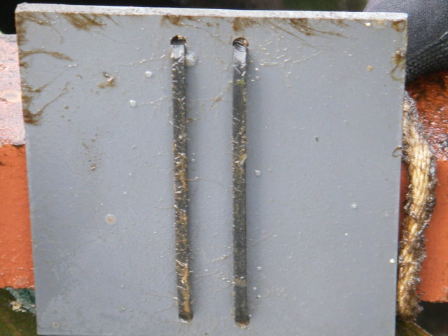 Imgp0016