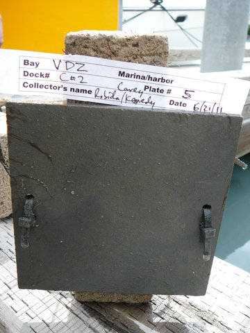 P1040158