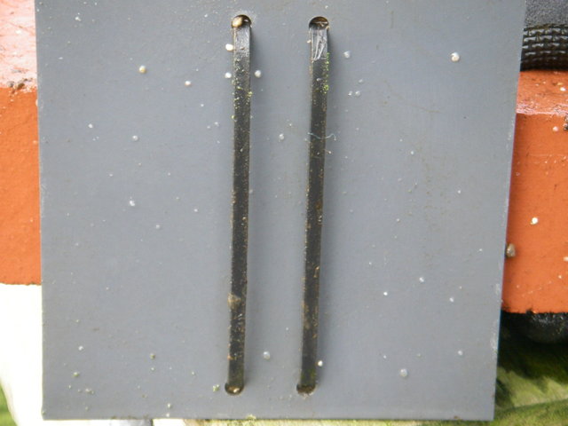 Imgp0023