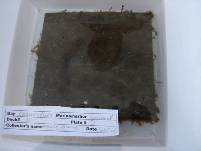 Img 4595