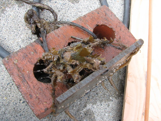 Img 4615