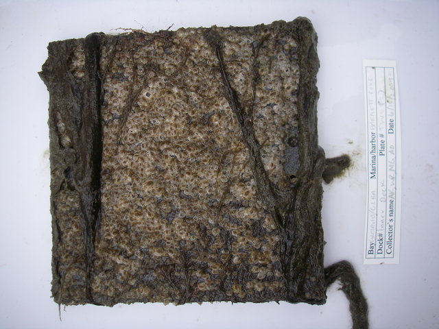 Imgp3030