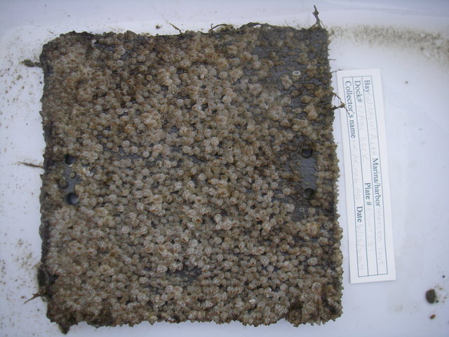 Imgp3058