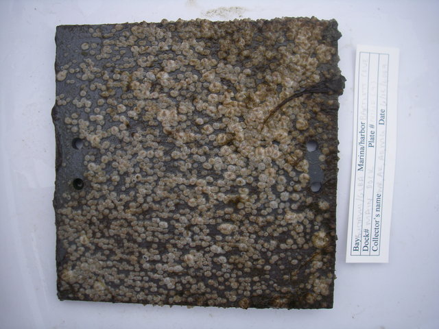 Imgp3063