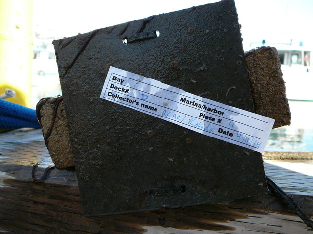 P1050126
