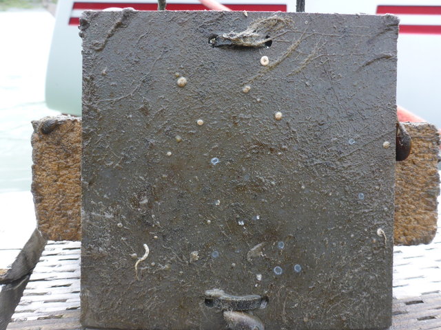 P1010856