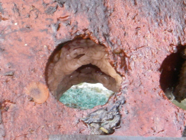 Imgp0015