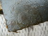 Plate 2 macro2