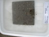 Img 6497