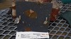 Eliason plate1 05072015 3