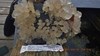Eliason plate9 05072015 3