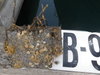 B9 3 9 14 2012