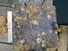 B22 3 9 14 2012