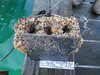B25 3 3 15 2013