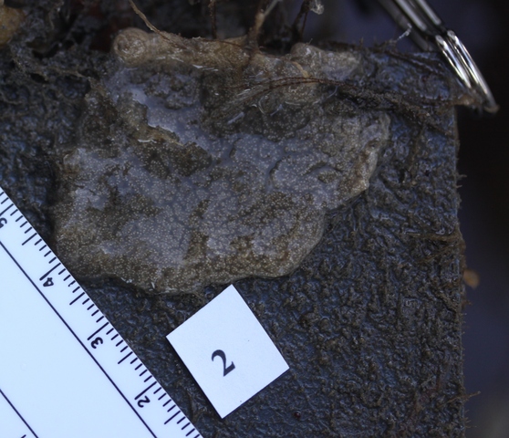 Sample 2 3 16 10