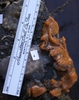 Sample 4 3 16 10