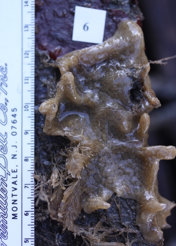 Sample 6 3 16 10