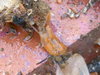 Imgp0359