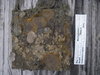 Imgp3728
