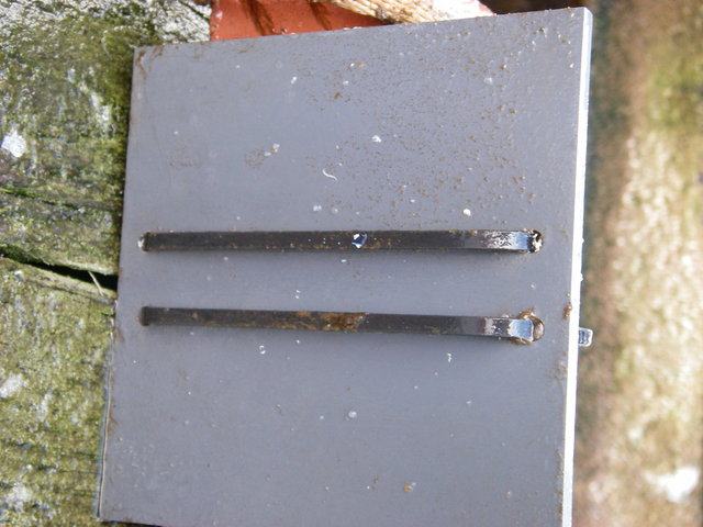 Imgp0011