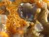 P9307453